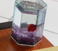 2ª MARATONA DE CONTAÇÃO DE HISTÓRIAS 