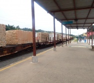 LANÇAMENTO DA EXPOSIÇÃO DE ARTE - PLACAS DE SINALIZAÇÃO - NTV