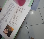 CURSO BULLYING BRINCADEIRA SEM LIMITES