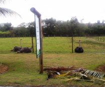 REUNIÃO NA IMADESA - MARCA AMBIENTAL