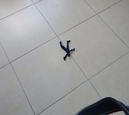 CHCV - ENCONTRO 3 - TÉCNICAS PARA CONTAR HISTÓRIAS I - TURMA 2 VESPERTINO