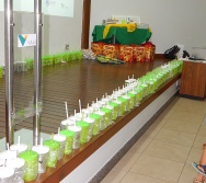 Na Trilha dos Valores - Encerramento do Projeto/2016