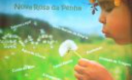 SEMINÁRIO DE RESPONSABILIDADE SOCIAL - IMADESA - 2ª 